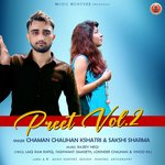 Preet, Vol. 2 - Yashwant Damseth Song Download